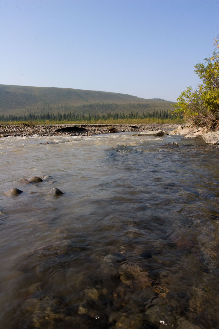 Denali National Park and State Park
