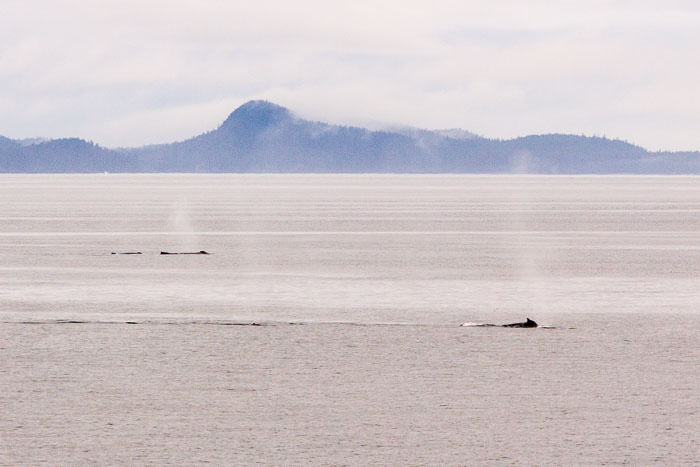 Coastal British Columbia