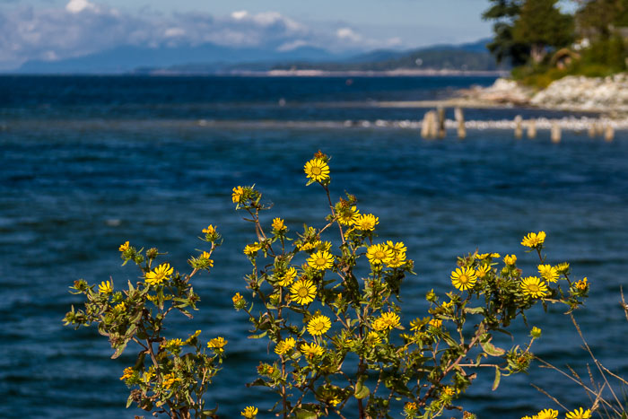 Coastal British Columbia