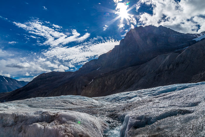 Columbia Icefields Area Columbia Icefields Area