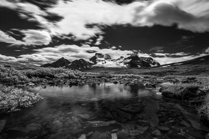 Columbia Icefields Area Columbia Icefields Area