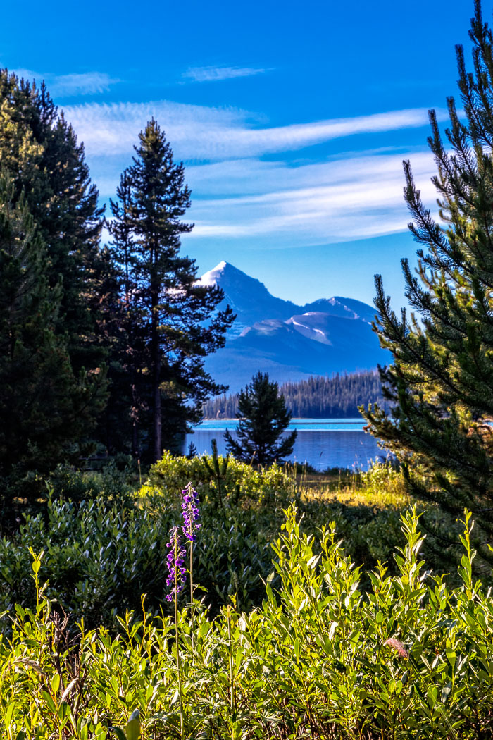 Maligne Lake Area