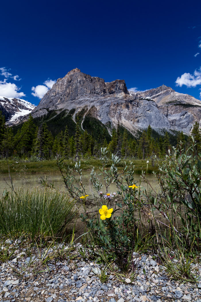 Yoho National Park