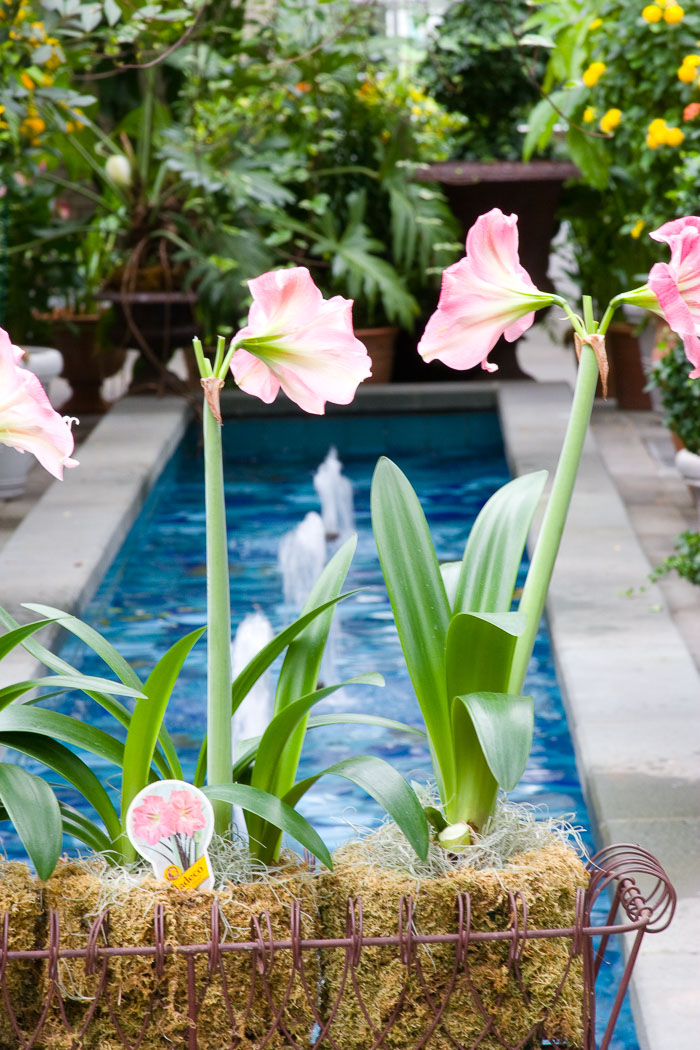 Washington DC - Monuments, Museums and Gardens