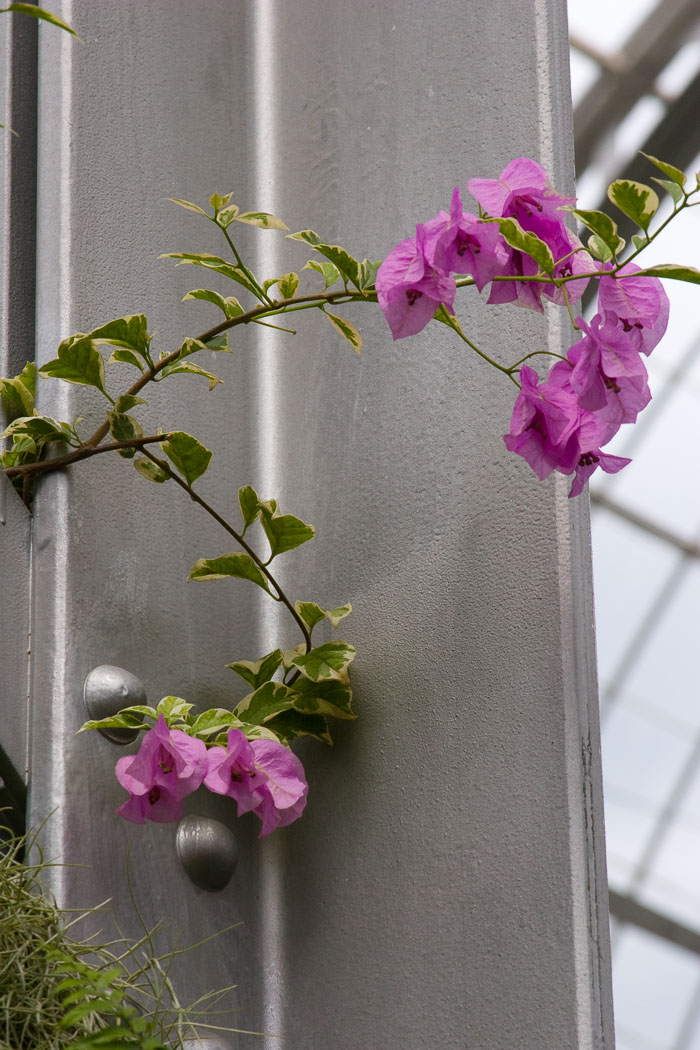 Washington DC - Monuments, Museums and Gardens