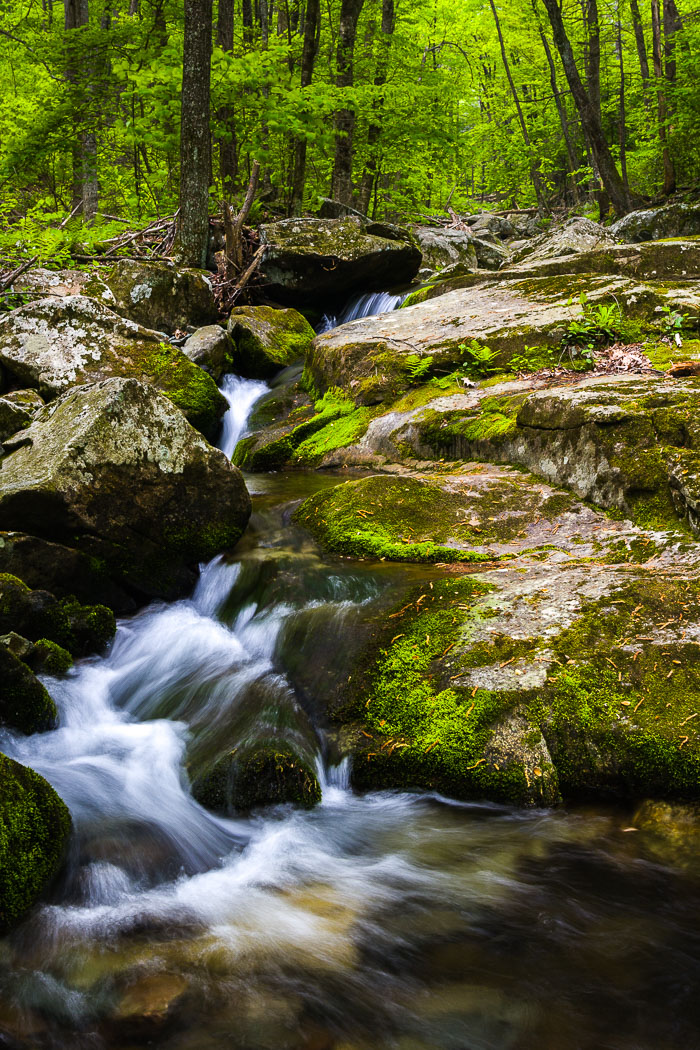 Shenandoah National Park