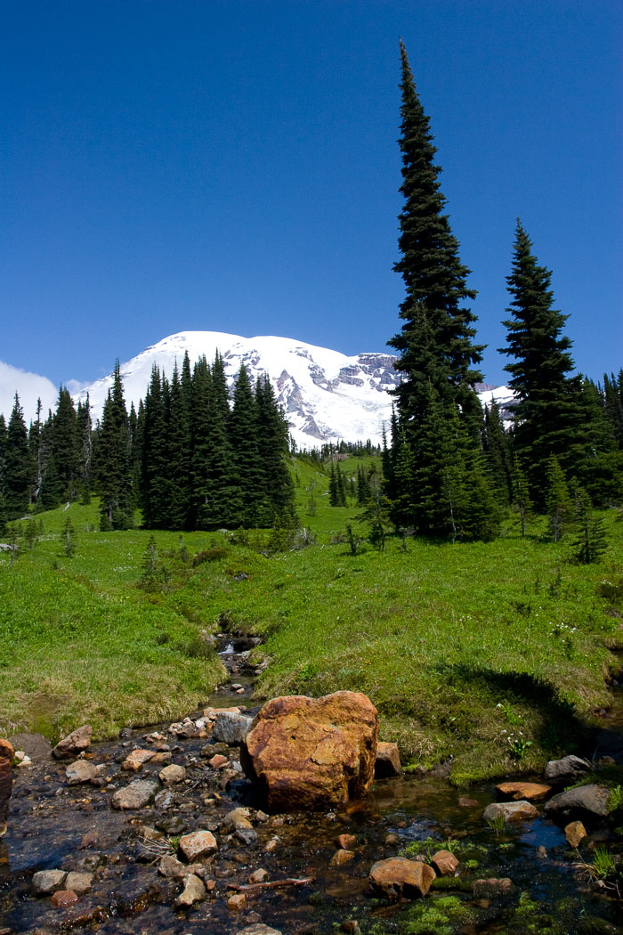 Mt. Rainier National Park