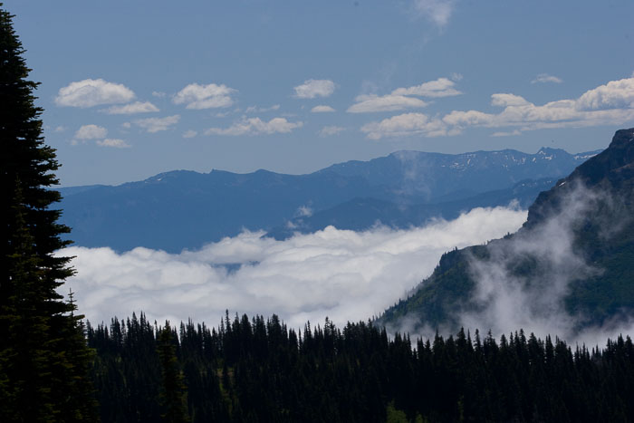 Mt. Rainier National Park