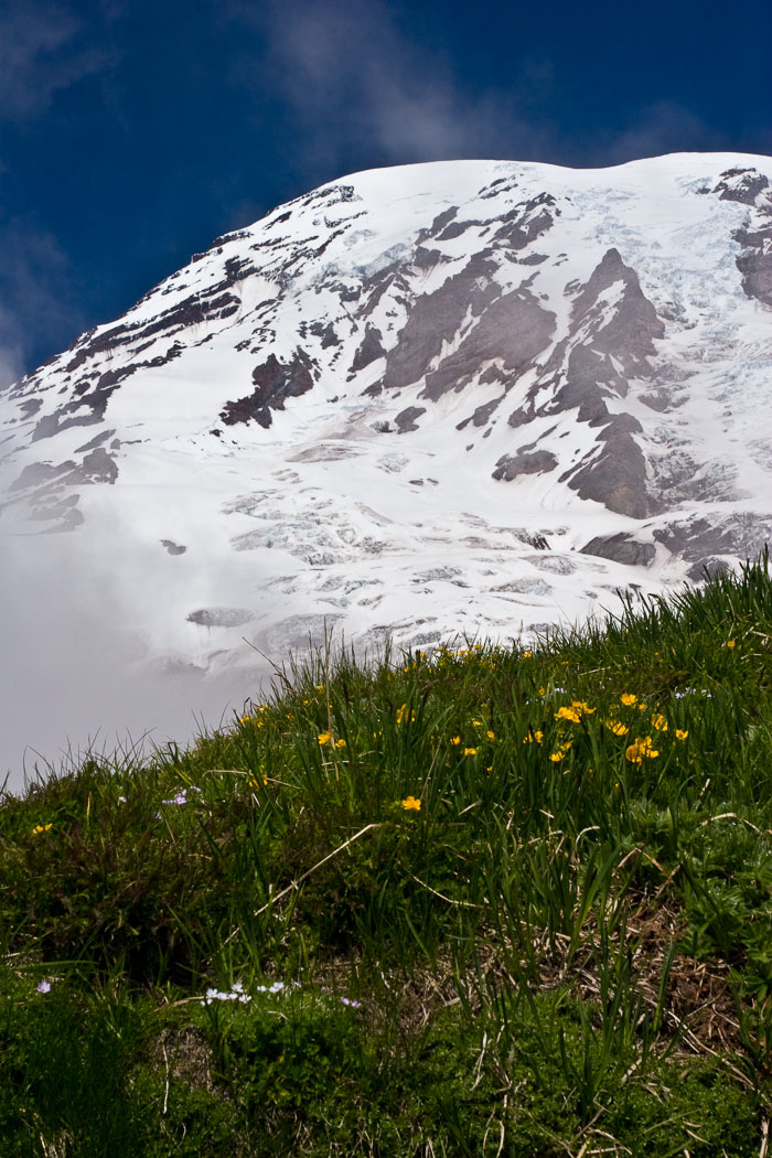 Mt. Rainier National Park