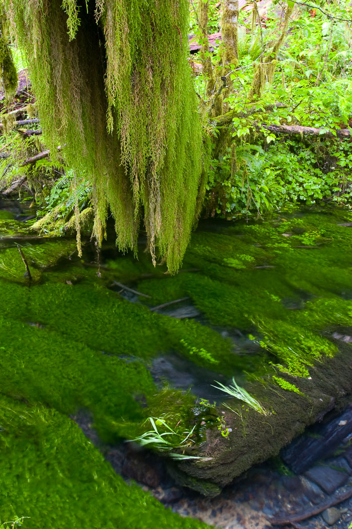 Olympic National Park