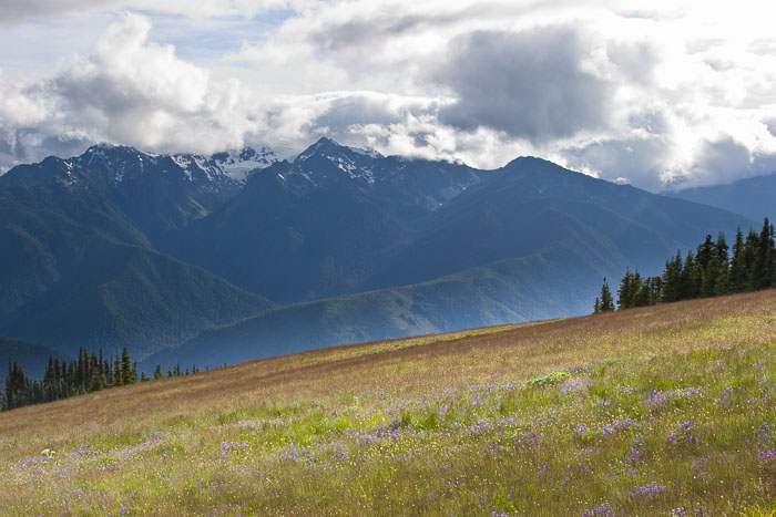 Olympic National Park