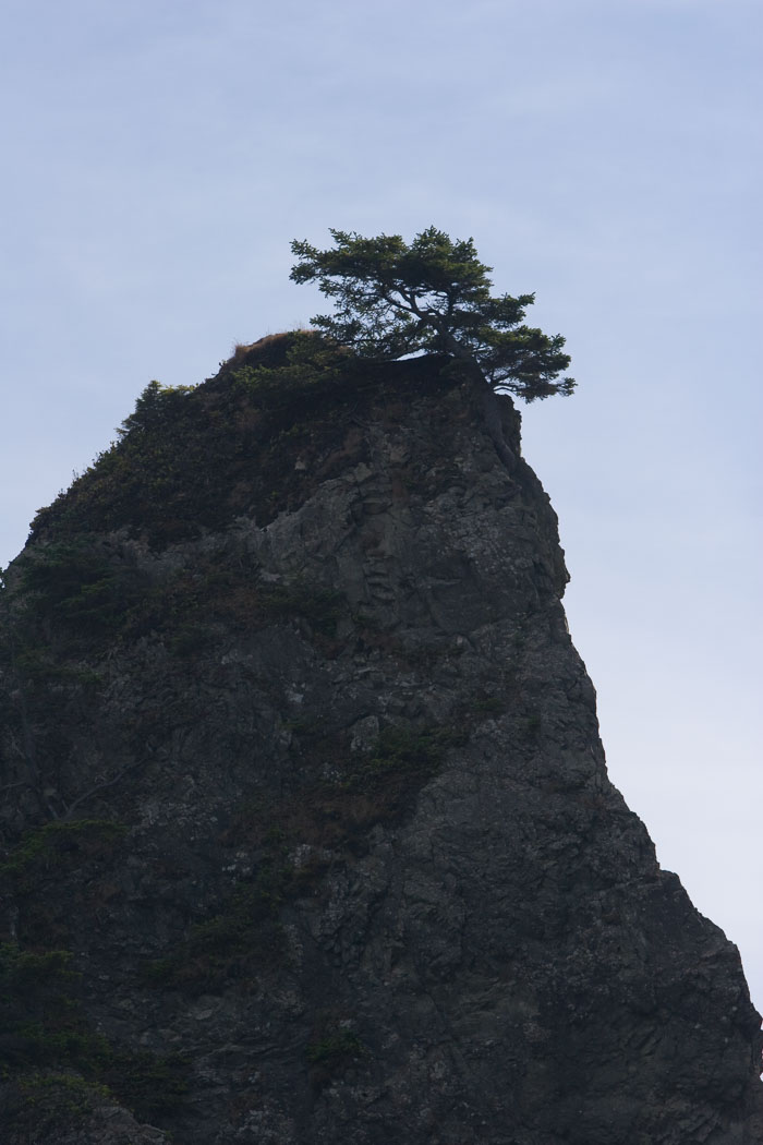 Olympic National Park