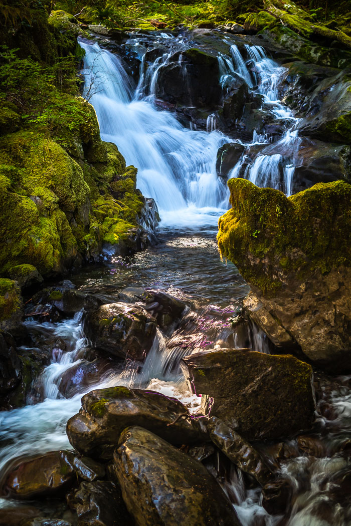 Olympic National Park
