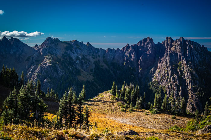Olympic National Park