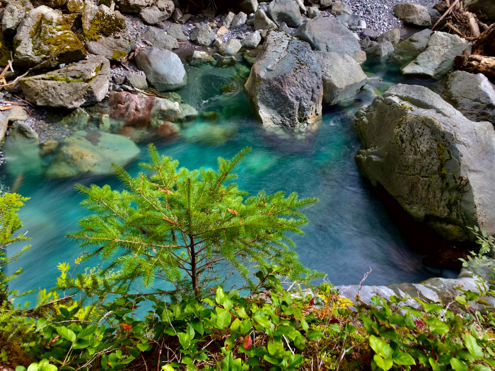 Olympic National Park