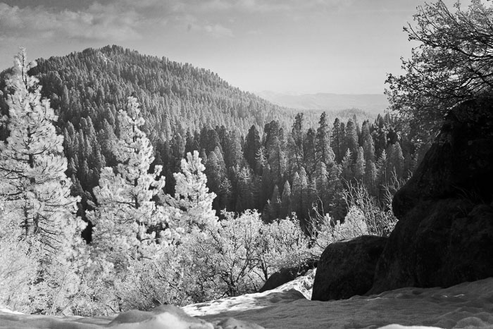 Sequoia-Kings Canyon