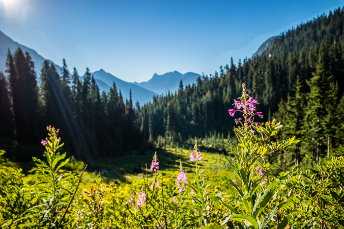 Pacific Region National Parks, Monuments, and Scenic Areas Pacific Region National Parks, Monuments, and Scenic Areas