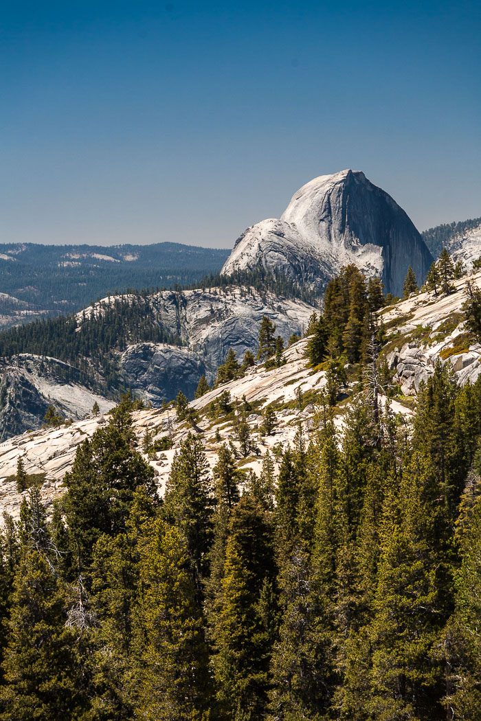 Yosemite Highcountry