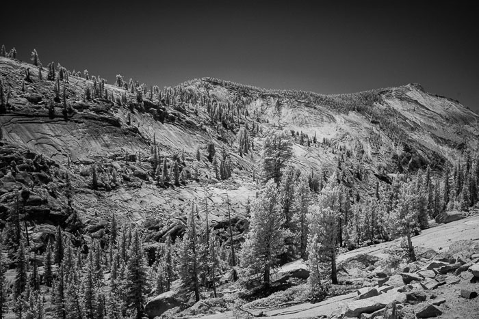 Yosemite Highcountry
