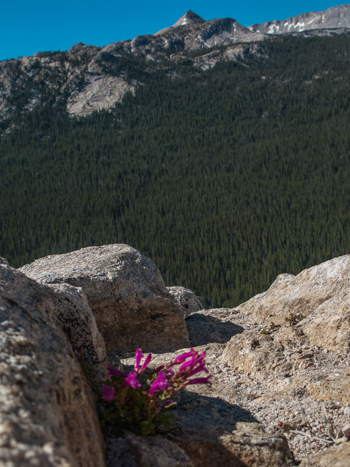 Yosemite Highcountry