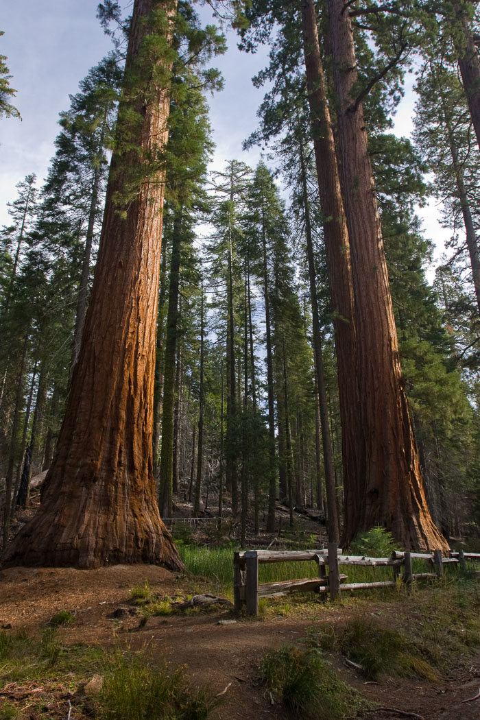 Yosemite Valley