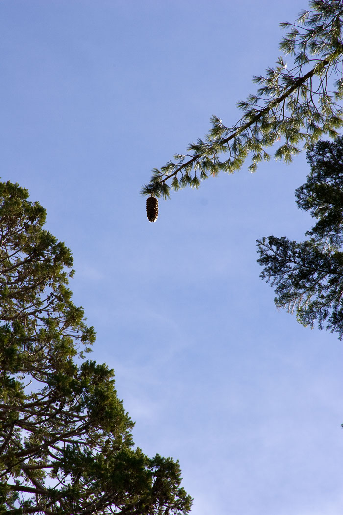 Yosemite Valley