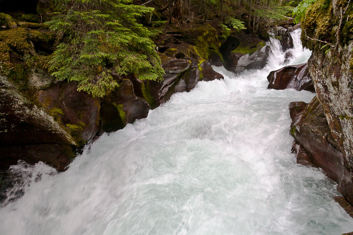 Avalanche Creek and Lake Trail