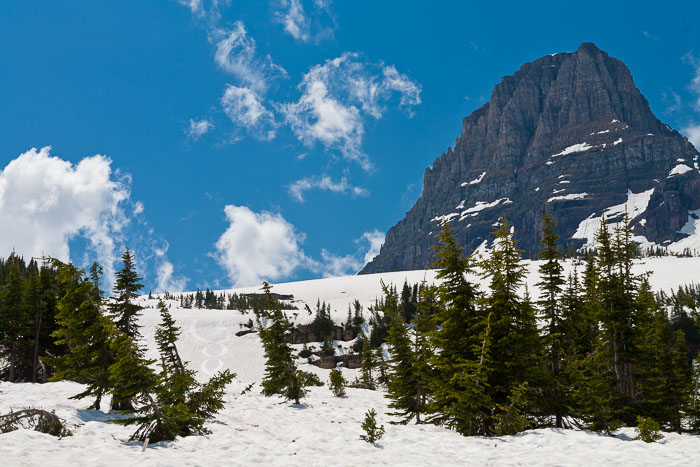 Going To The Sun Rd and Logan Pass