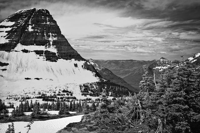 Going To The Sun Rd and Logan Pass