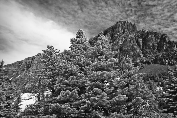 Going To The Sun Rd and Logan Pass