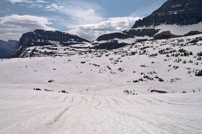 Going To The Sun Rd and Logan Pass