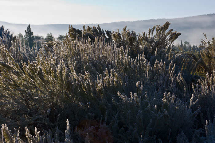 Grand Teton National Park 