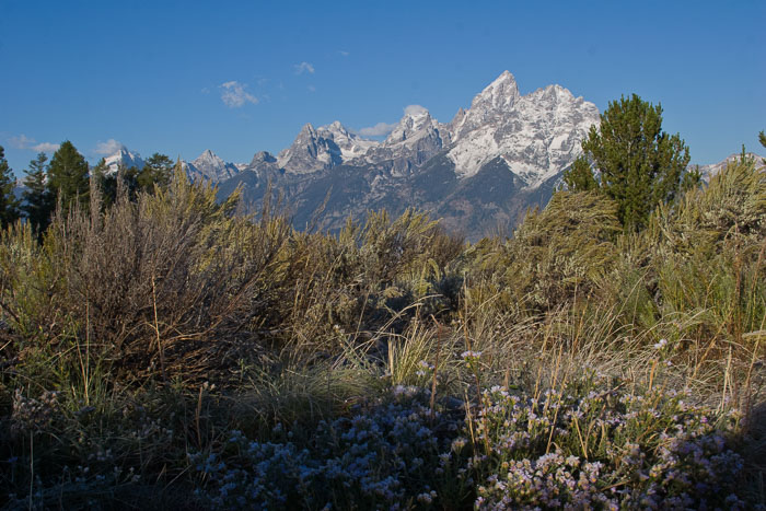 Grand Teton National Park 
