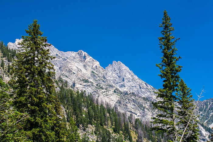 Grand Teton National Park 