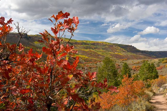 San Juan Mountains