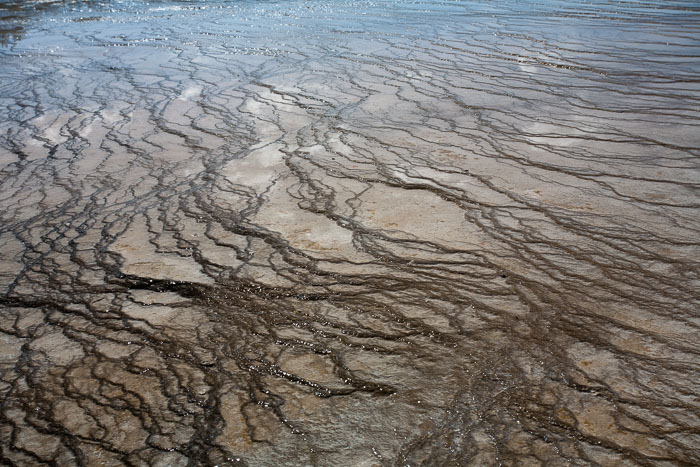 Yellowstone Hydrothermal Features