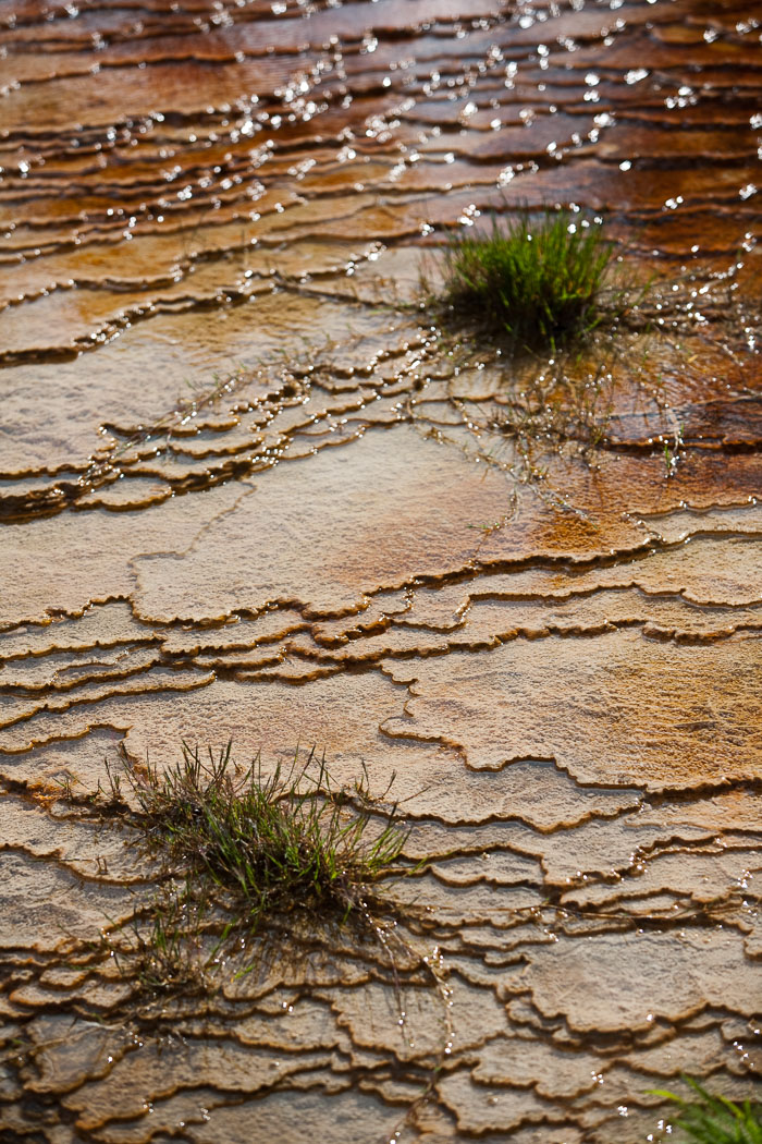 Yellowstone Hydrothermal Features