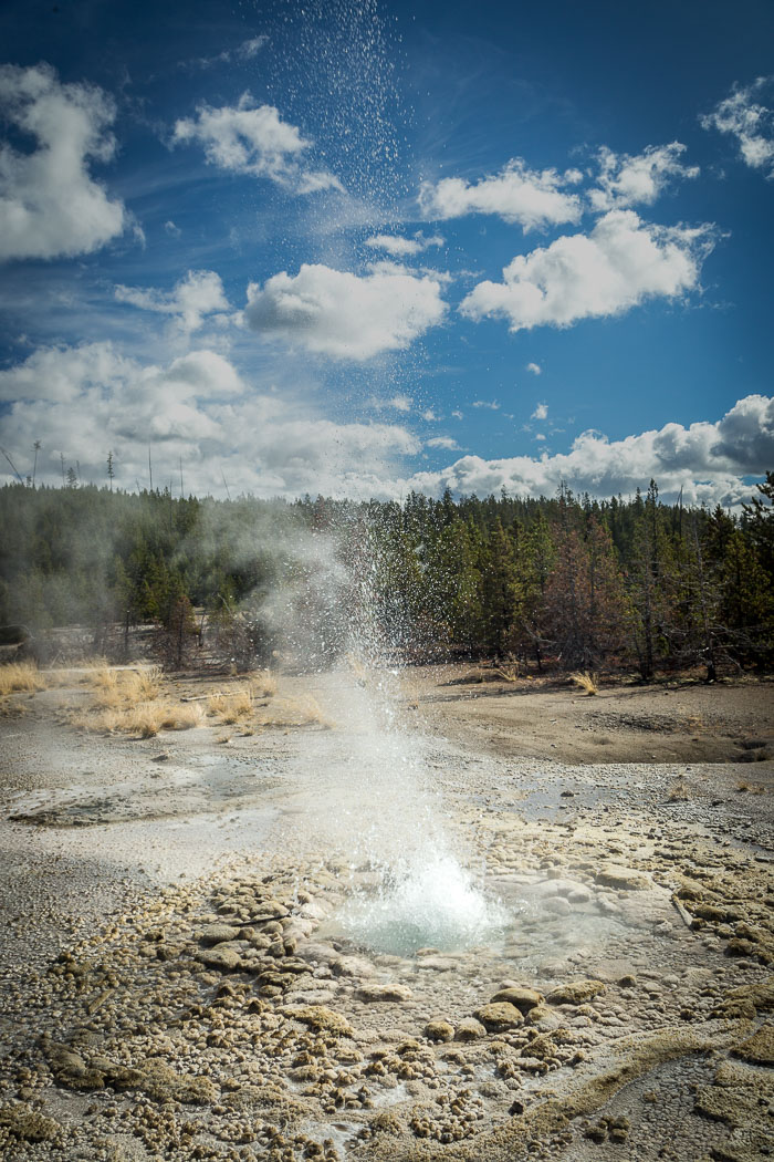 Yellowstone Hydrothermal Features