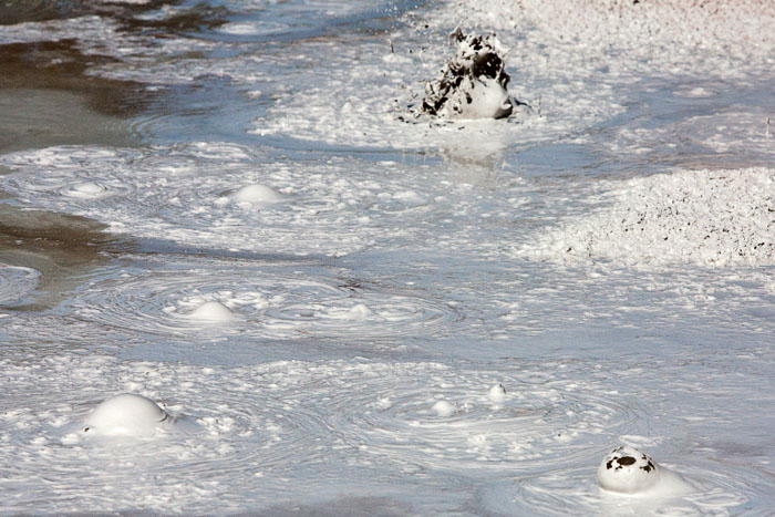 Yellowstone Mudpots