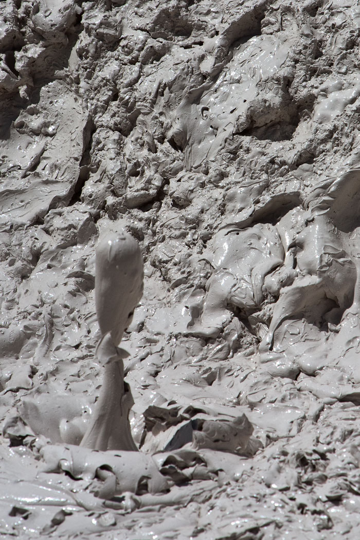 Yellowstone Mudpots