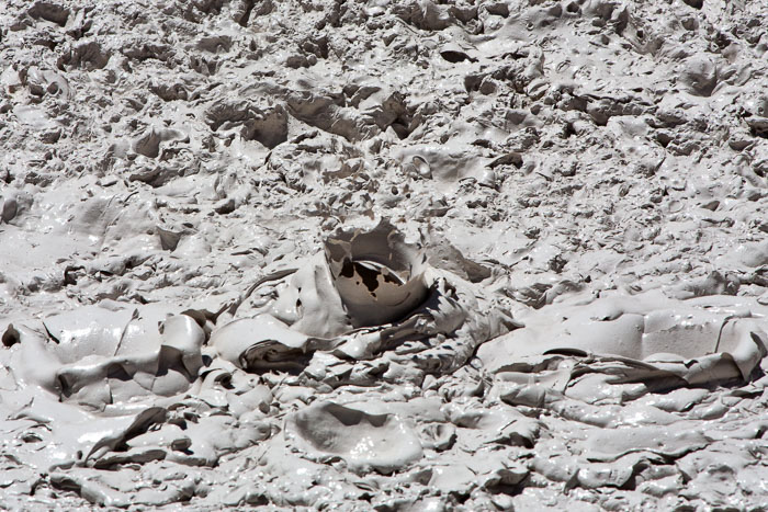 Yellowstone Mudpots