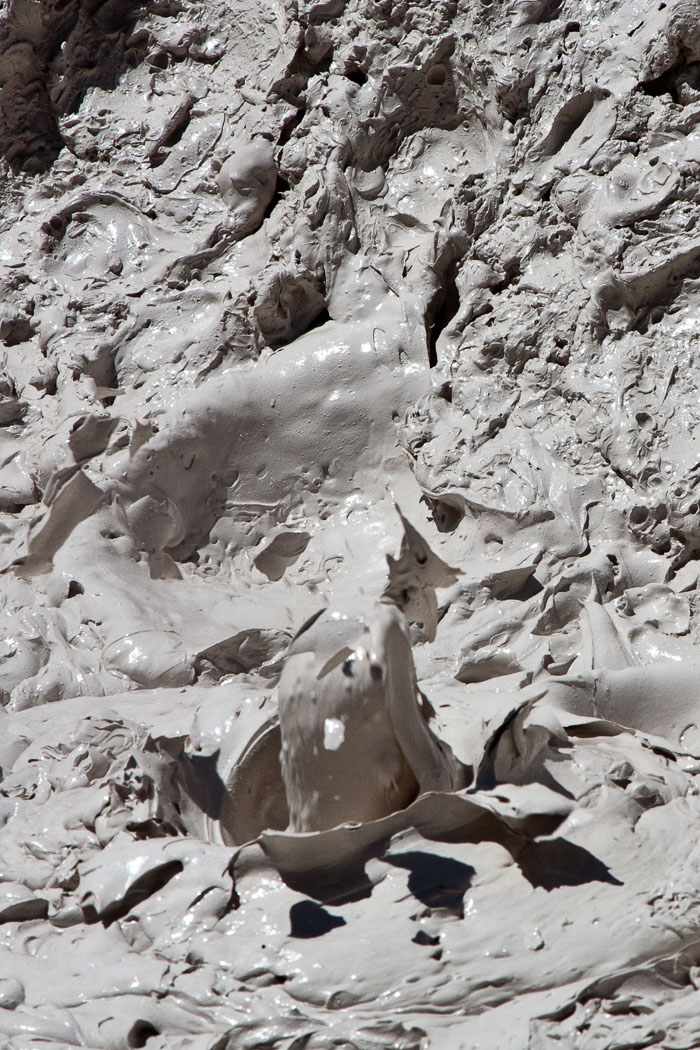 Yellowstone Mudpots