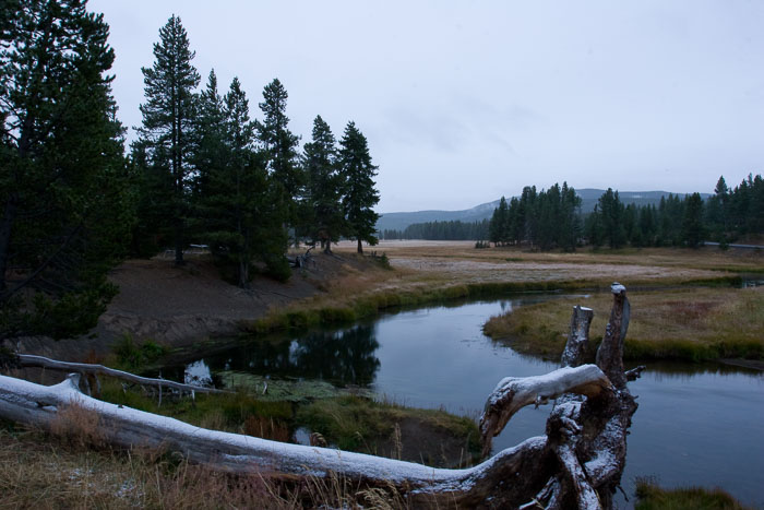 Yellowstone Scenics