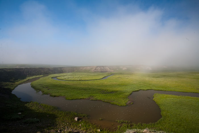 Yellowstone Scenics