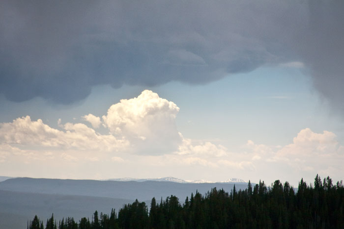Yellowstone Scenics