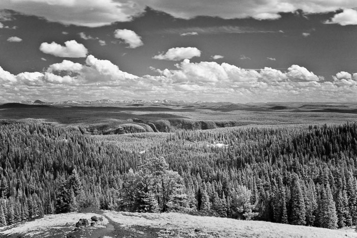 Yellowstone Scenics Yellowstone Scenics
