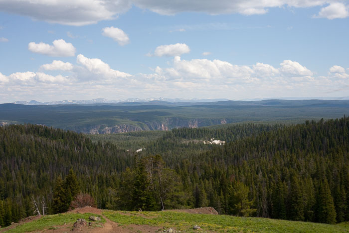 Yellowstone Scenics