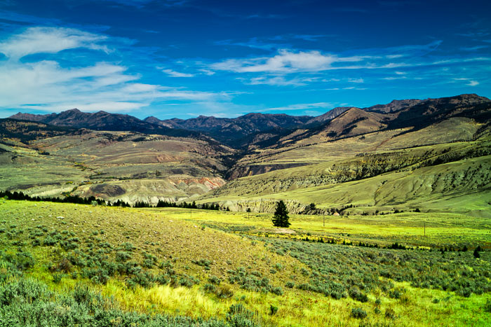 Yellowstone Scenics