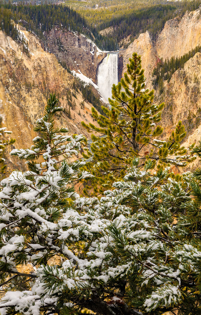 Yellowstone Scenics