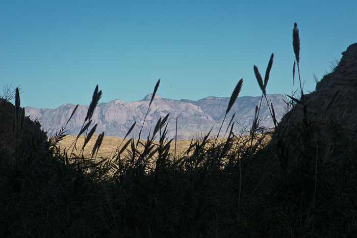Big Bend National Park